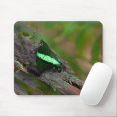 Emerald Swallowtail Muismat (Met muis)