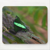 Emerald Swallowtail Muismat (Voorkant)