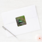 Emerald Swallowtail Vierkante Sticker (Envelop)
