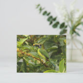 Emerald Toucanet Briefkaart (Staand voorkant)