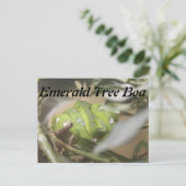Emerald Tree Boa # 1 Briefkaart (Staand voorkant)