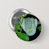 Emerald Tree Boa-Morticia Button (Voorkant /achterkant)