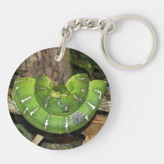 Emerald Tree Boa Snake Sleutelhanger (Achterkant)