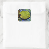 Emerald Tree Boa Snake Vierkante Sticker (Tas)