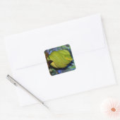 Emerald Tree Boa Snake Vierkante Sticker (Envelop)