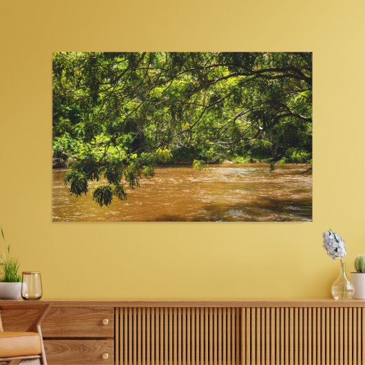 Emerald Veil over Rio Una Canvas Afdruk (Insitu (Woonkamer))