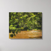 Emerald Veil over Rio Una Canvas Afdruk (Voorkant)