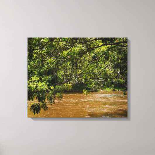 Emerald Veil over Rio Una Canvas Afdruk (Voorkant)