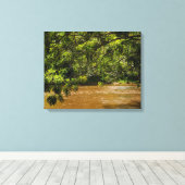 Emerald Veil over Rio Una Canvas Afdruk (Insitu (Houten vloer))