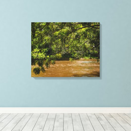 Emerald Veil over Rio Una Canvas Afdruk (Insitu (Houten vloer))