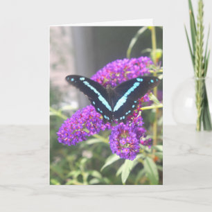 Emerging Butterfly Sister Verjaardag Kaart