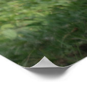 Emerging Strength – Lope the Silverback Poster (Hoek)