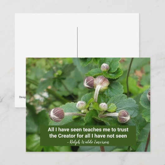 Emerson Quote Flower Buds Faith Trust the Creator Briefkaart (Voorkant / Achterkant)