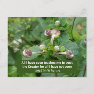 Emerson Quote Flower Buds Faith Trust the Creator Briefkaart