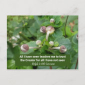 Emerson Quote Flower Buds Faith Trust the Creator Briefkaart (Voorkant)