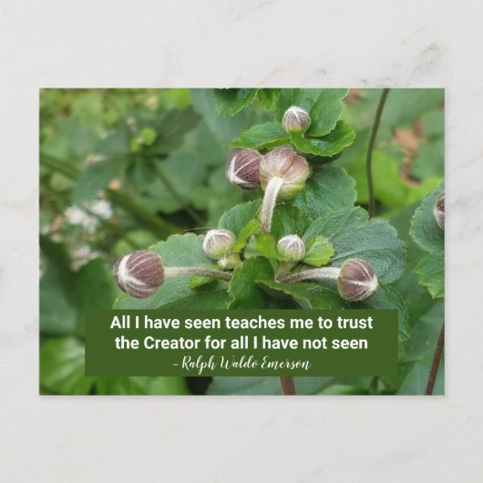 Emerson Quote Flower Buds Faith Trust the Creator Briefkaart (Voorkant)
