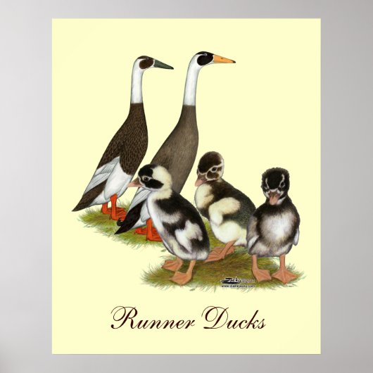 Emery Gepotloodde Lopende Eend Familie Poster (Voorkant)