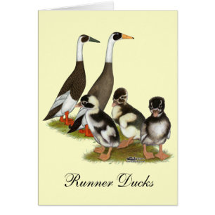 Emery Gepotloodde Runner Eend Familie