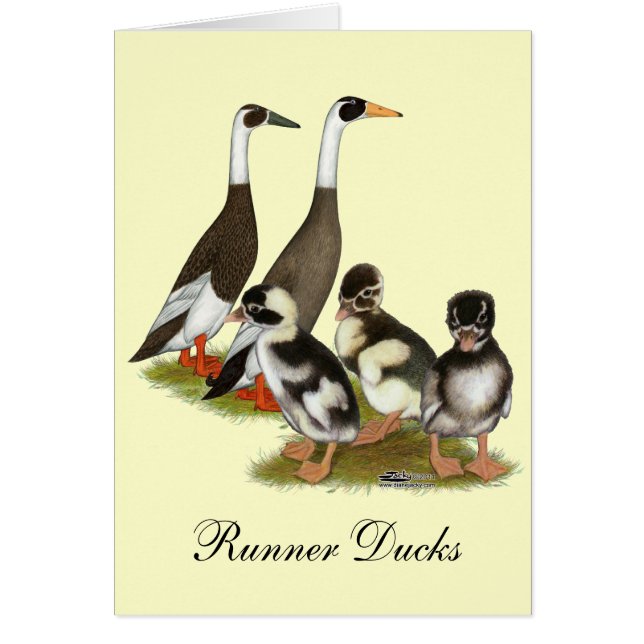 Emery Gepotloodde Runner Eend Familie (Voorkant)