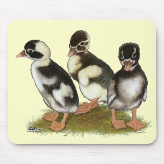 Emery Gepotloodde Runner Eendjes Muismat (Voorkant)