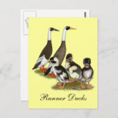 Emery Penciled Runner Duck Family Briefkaart (Voorkant / Achterkant)