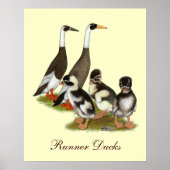 Emery Penciled Runner Duck Family Poster (Voorkant)
