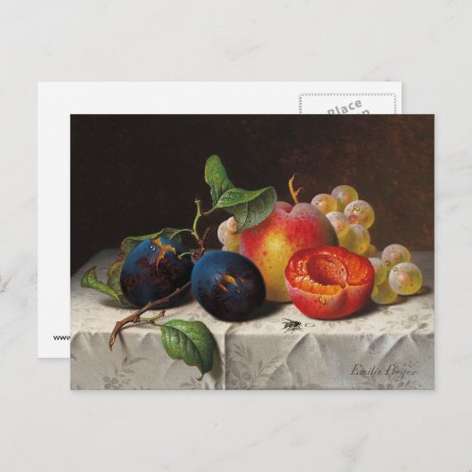 Emilie Preyer: Vruchten en vliegen Briefkaart (Voorkant / Achterkant)