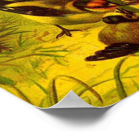 Emily Dickinson "Hope" Canvas Print (Hoek)