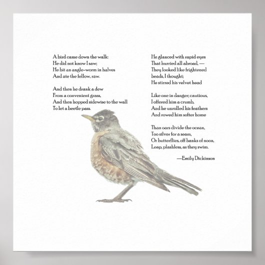 Emily Dickinson "In de tuin" gedicht Poster (Voorkant)