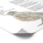 Emily Dickinson "In de tuin" gedicht Poster (Hoek)