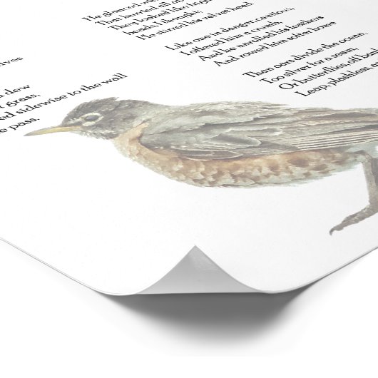 Emily Dickinson "In de tuin" gedicht Poster (Hoek)