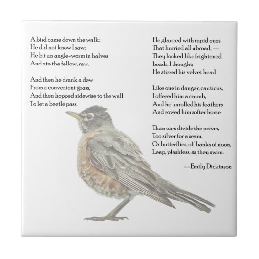 Emily Dickinson "In de tuin" gedicht tegen de berg Tegeltje (Voorkant)