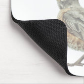 Emily Dickinson in de tuingedicht Muismat (Hoek)