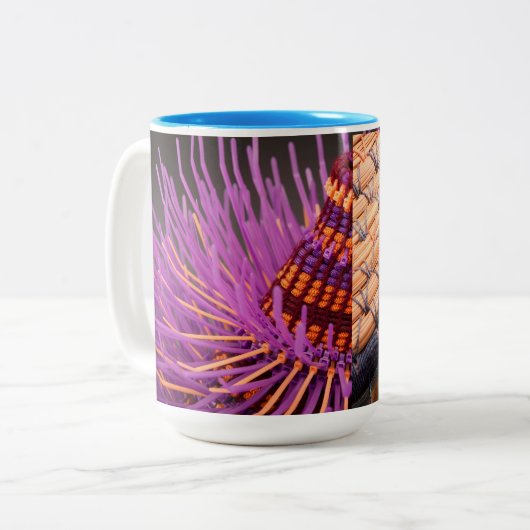 Emily Dvorin/Toni Best Mok (Voorkant links)