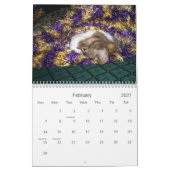 Emma Calendar 2008 Kalender (Feb 2027)