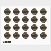 Emma Close-up Cat Photo Stickers (Vel)