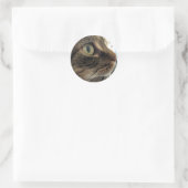 Emma Close-up Cat Photo Stickers (Tas)