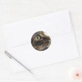 Emma Close-up Cat Photo Stickers (Envelop)