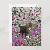Emma in Flowers I - Little Grey Kitty Cat Briefkaart (Voorkant / Achterkant)