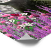 Emma in Flowers I - Little Grey Kitty Cat Poster (Hoek)