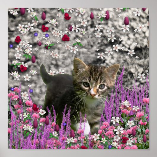 Emma in Flowers I - Little Grey Kitty Cat Poster (Voorkant)