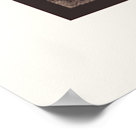 Emma ~ Lady Hamilton Poster (Hoek)