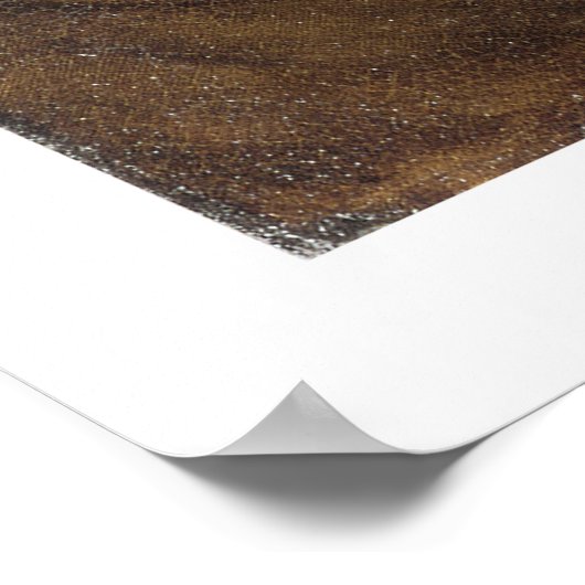 Emma, Lady Hamilton Poster (Hoek)