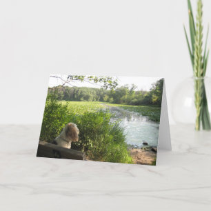 Emma Reflecting Card Kaart