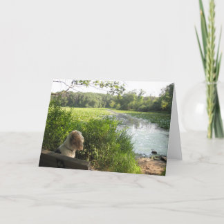 Emma Reflecting Card Kaart