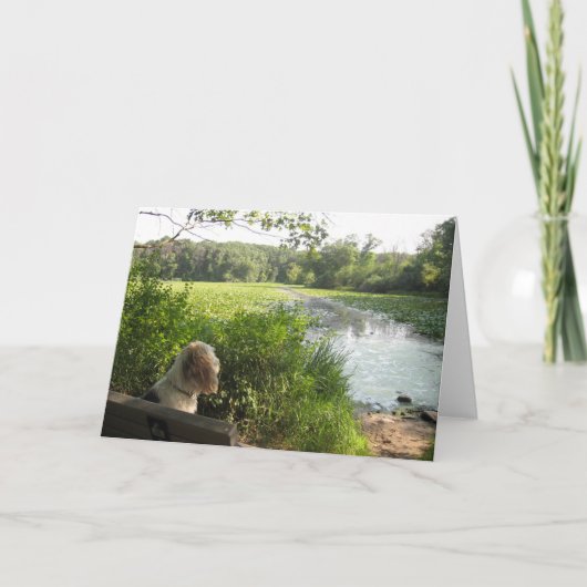 Emma Reflecting Card Kaart (Voorkant)