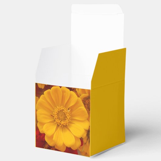 Emmeline Bedankdoosjes (Geopend)