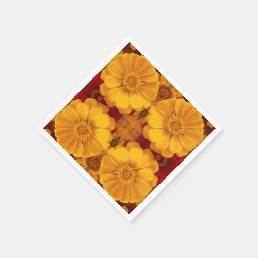 Emmeline Servet (Hoek)