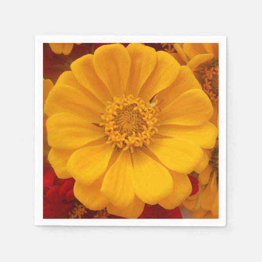 Emmeline Servetten (Voorkant)