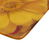 Emmeline Snijplank (Hoek)